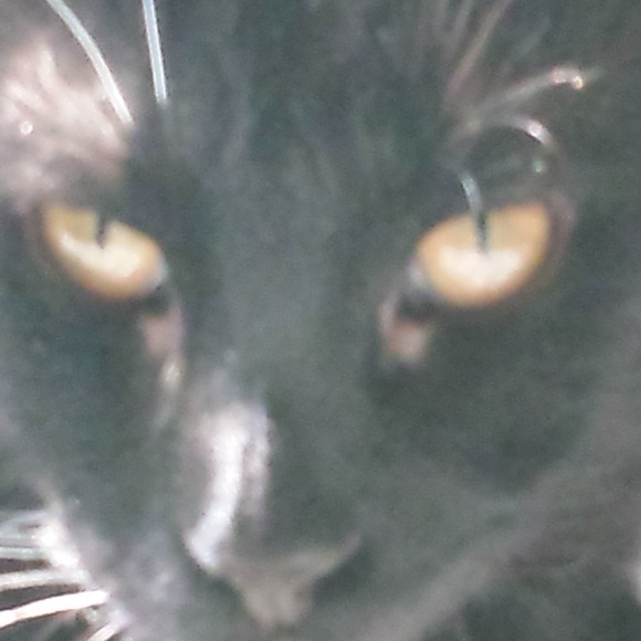 Meet your Posher, Joyce - Picture 3 of 7